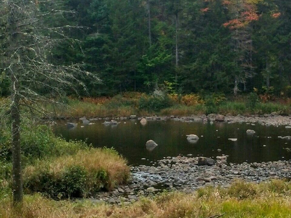 River Path