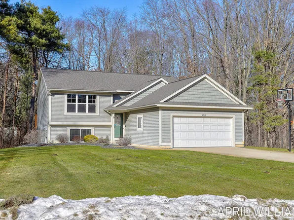 6919 Pinestead Ct, Allendale, MI 49401