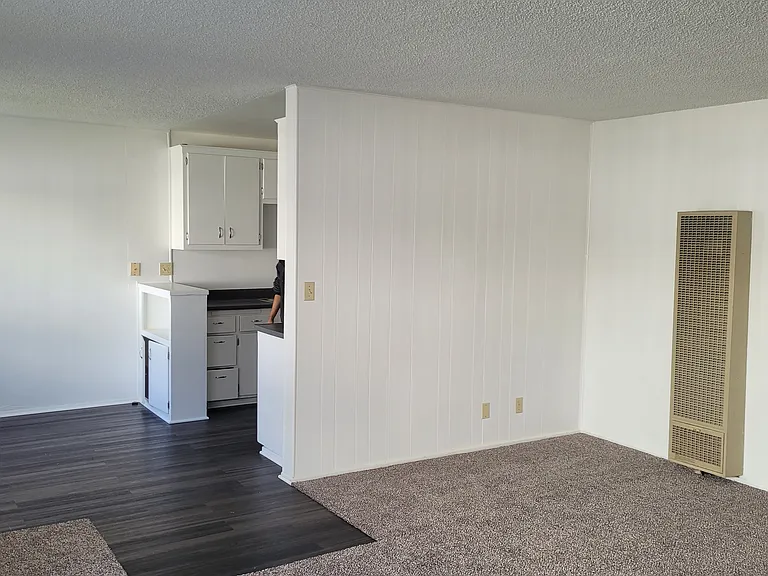 719 Wedgewood Ave #B — Photo 3