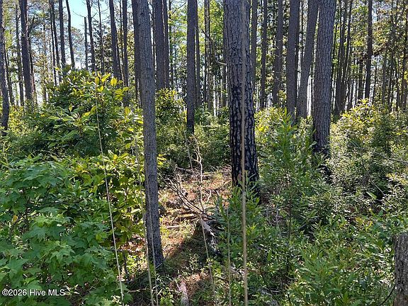 3rd image of 570 Highway 70 LOT 5 6 7