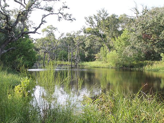 5th image of 1621 Fm 456