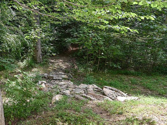 One of the three trails