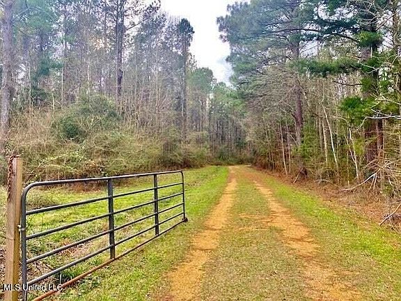 2nd image of 3037 Brandi Rd