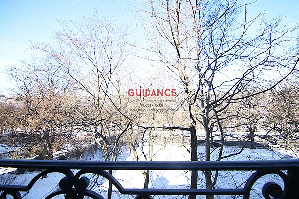 Rented by Guidance Realty Corp. | media 6