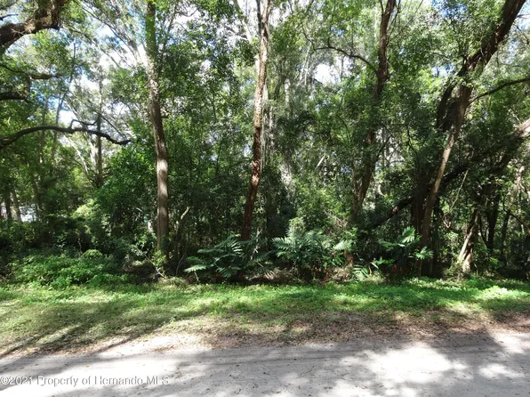 0 Jenkins Ave, Brooksville, FL 34604