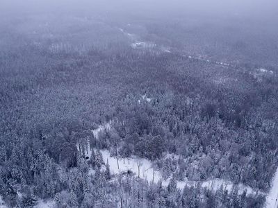 2519 Bear Island River Rd, Ely, MN, 55731