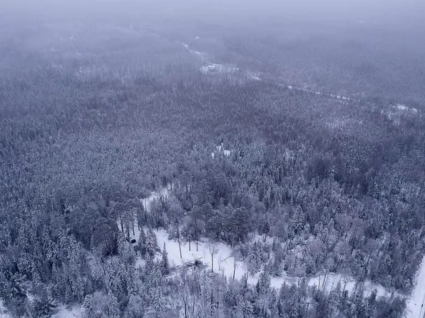 2519 Bear Island River Rd, Ely, MN 55731