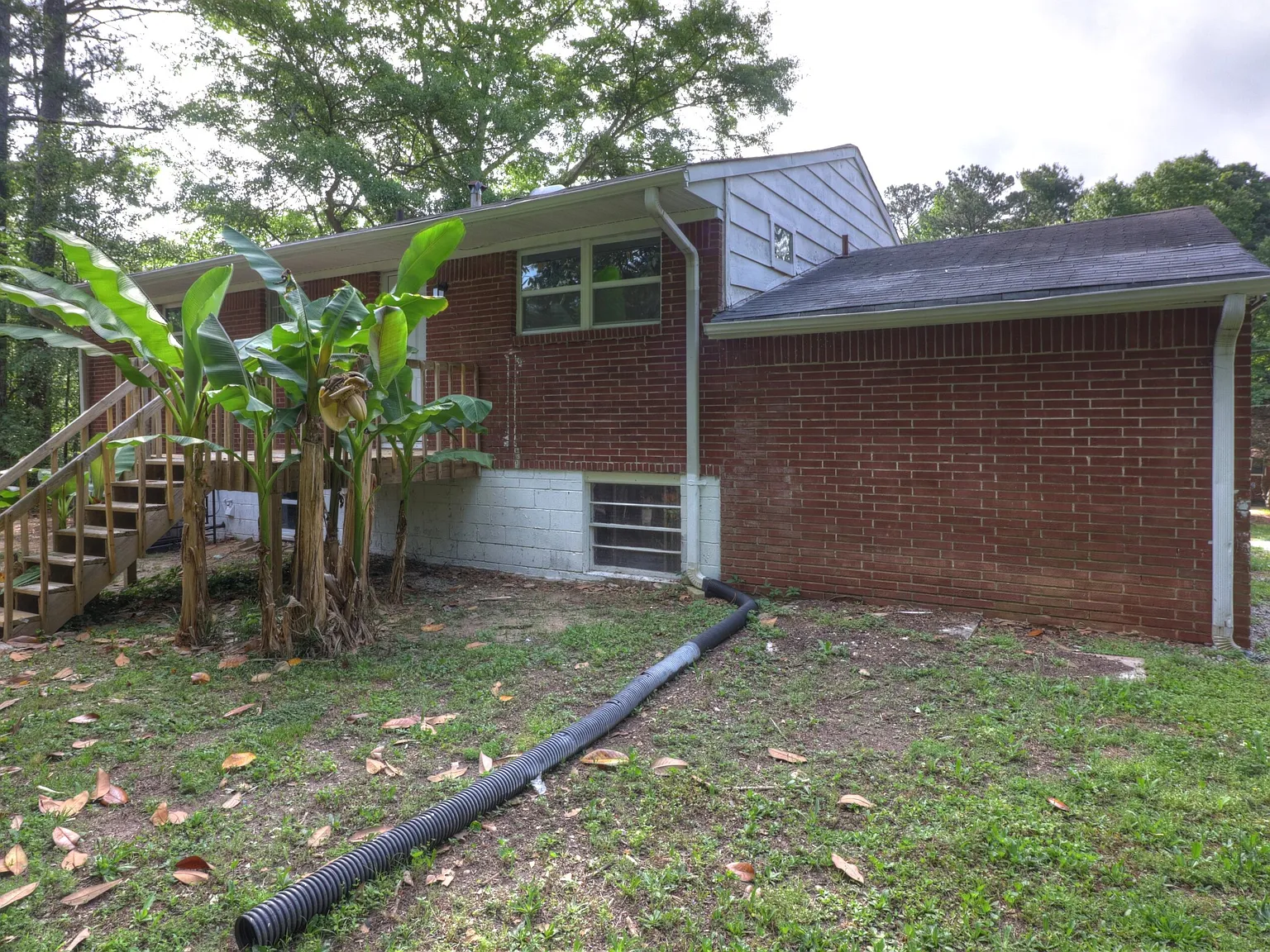 3 bed, 1.0 bath, $1,575 — Photo 3