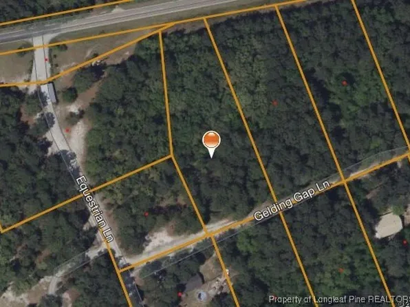 Gelding Gap Ln, Carthage, NC 28327