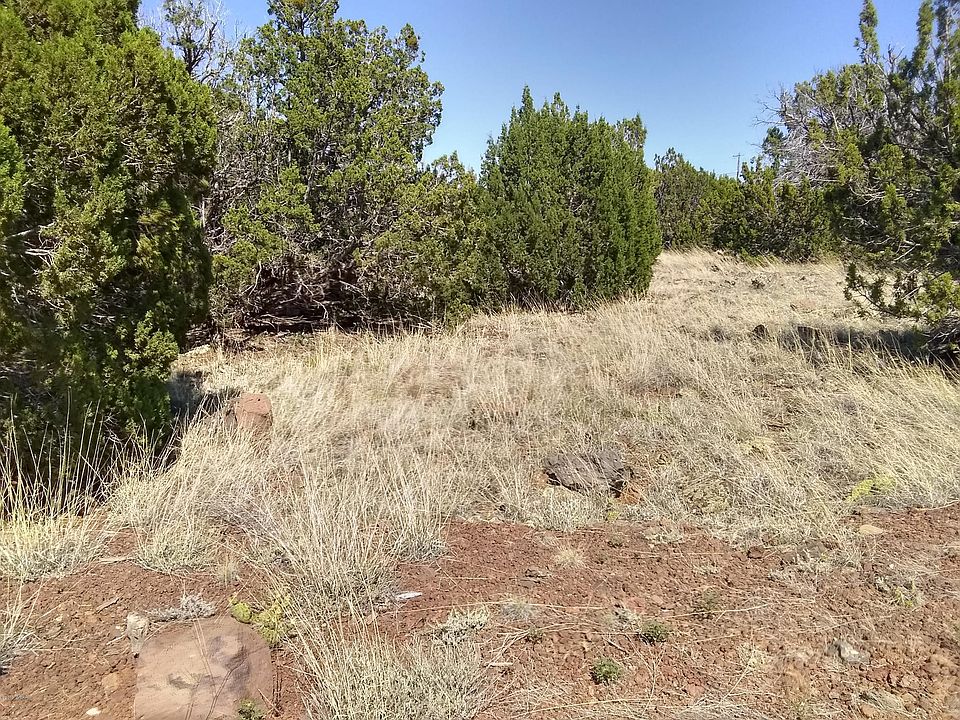 1st image of 8576 Silver Creek Dr