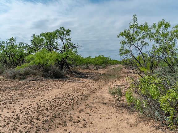 Concho County Land For Sale