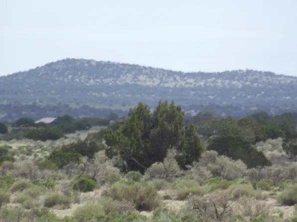 3020 Rudy Rd, Williams, AZ 86046