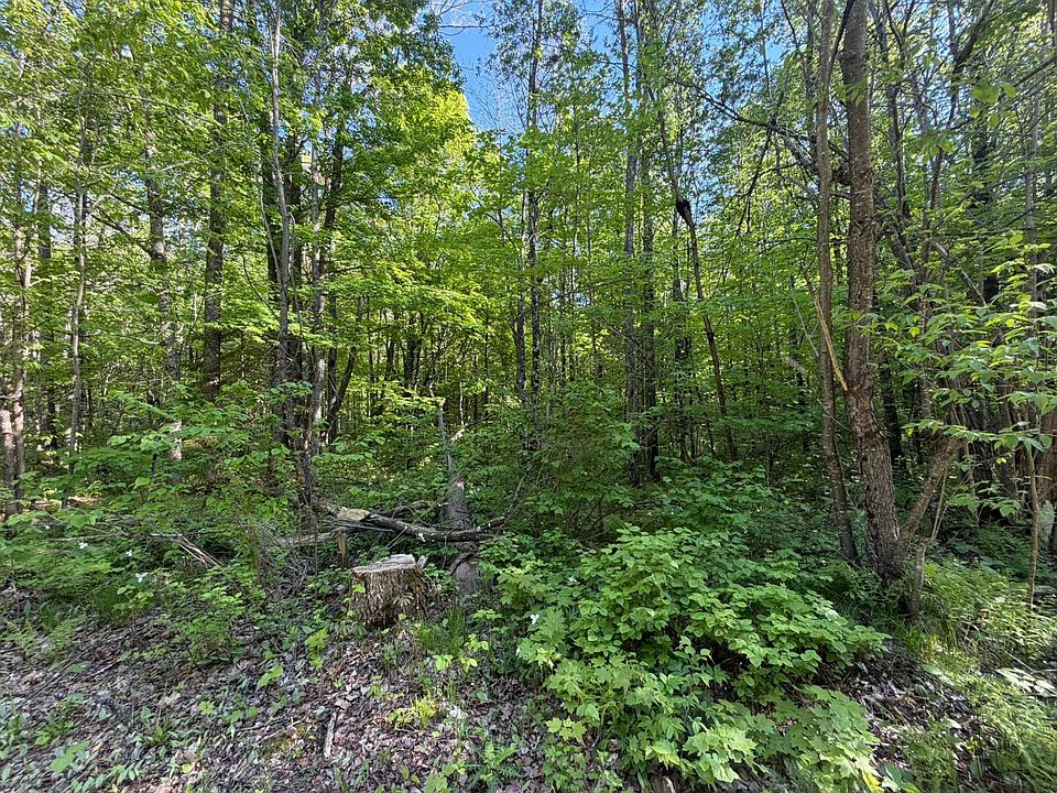 1st image of LOT 7 Dream Lake Rd