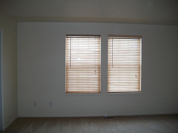 wood blinds throughout 