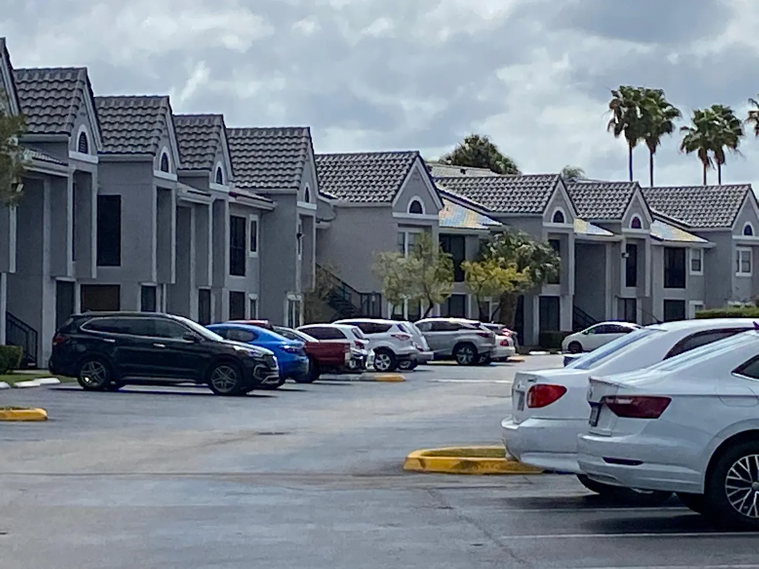 1 bed, 558 sqft, $1,870 — Photo 4