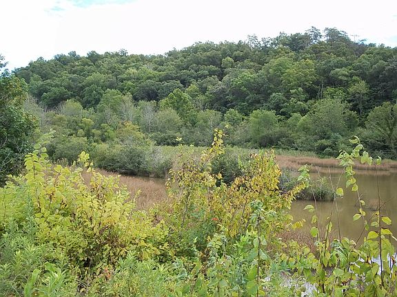 3rd image of Hwy 72 Parcels 12.00 & #12.01