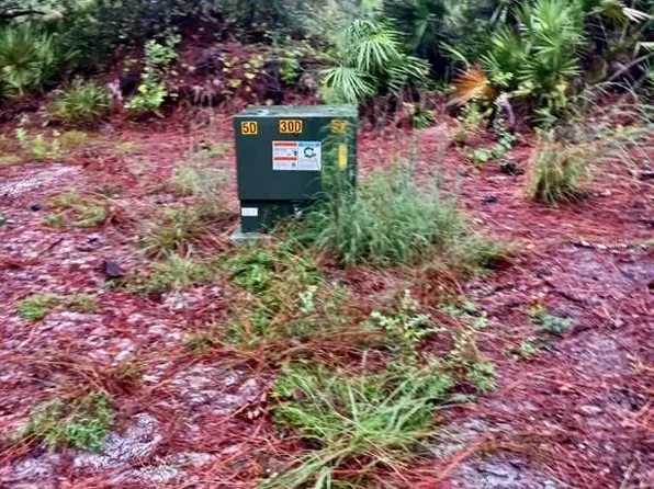 Park Forest Blvd Lot 154, Mount Dora, FL 32757