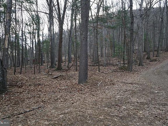 4th image of 787 Peters Mountain Ln