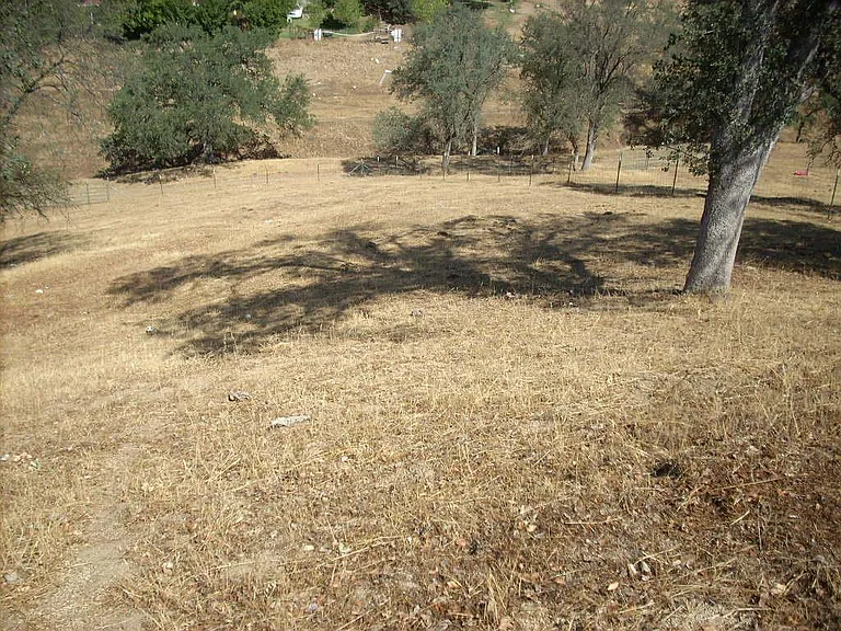 6996 Ciancetti Dr — Photo 6