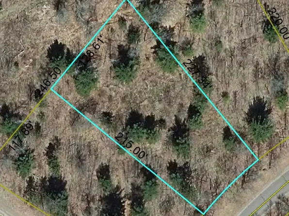 LOT 18 Loon Lake Rd, Danbury, WI 54830