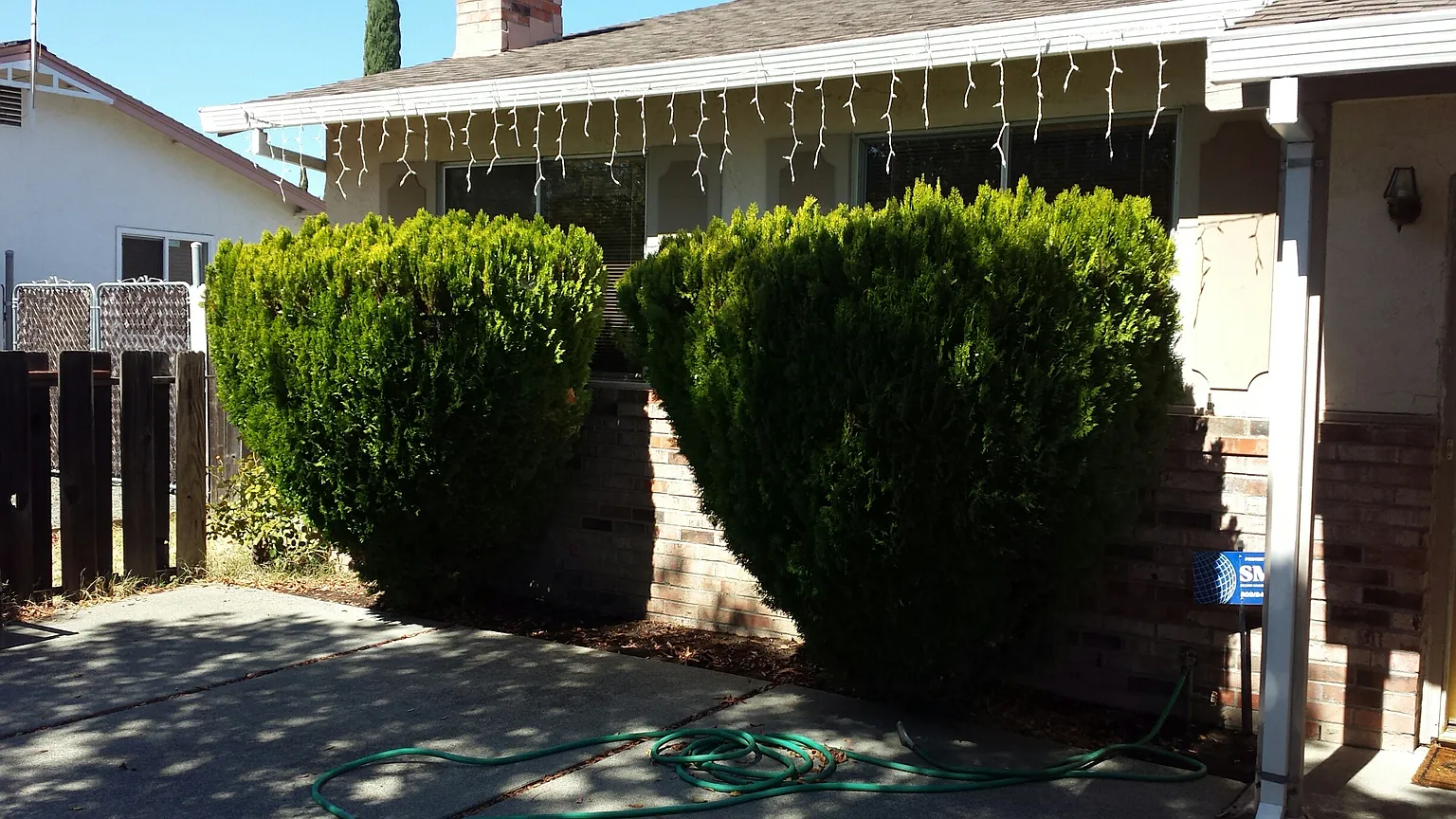 1036 Sparrow Ln photo 1