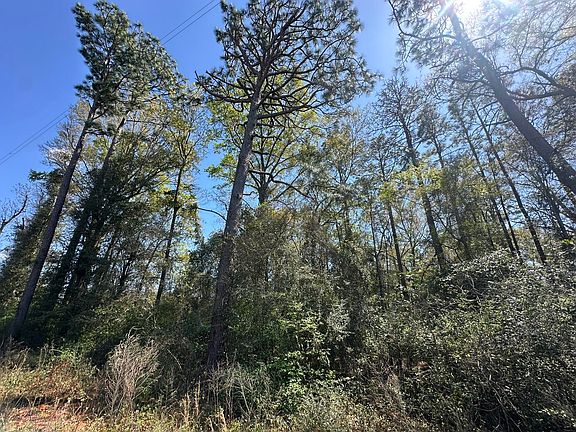 3rd image of PARCEL Holloway Rd #B