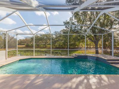 7051 DERWENT GLEN CIRCLE, Land O Lakes, FL, 34637