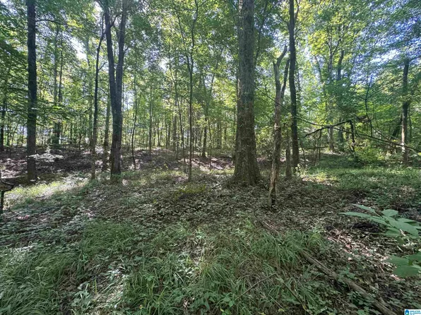 0 County Road 249 #1, Clanton, AL 35046