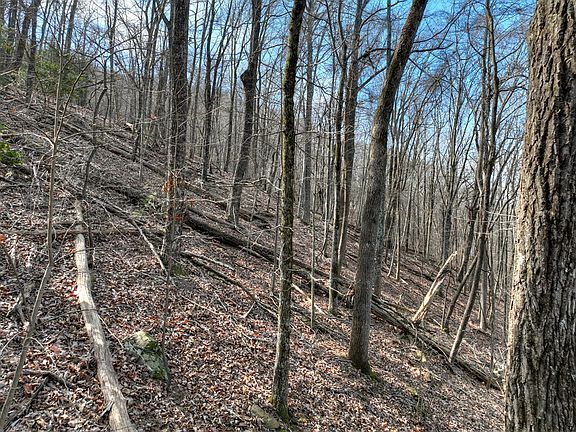 5th image of Lts 159 Hickory Trce