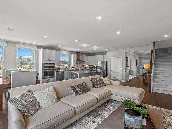 Model Representation