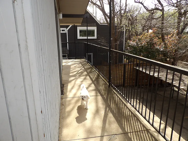 4411 Buena Vista St #5 — Photo 10