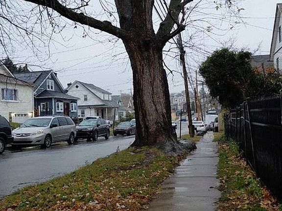 4th image of 206 Wildwood Ave