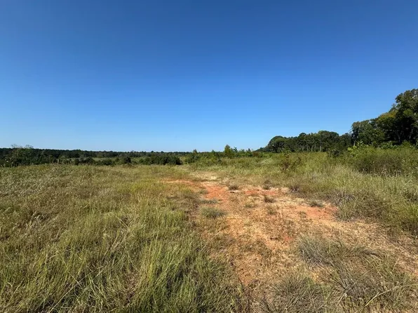 Pid 79229 Hwy #96, Brookeland, TX 75931