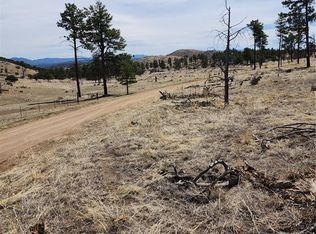 377 Color Sweet Dr, Cotopaxi, CO