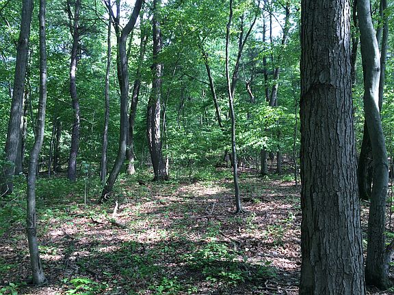2nd image of Clay Hill Road