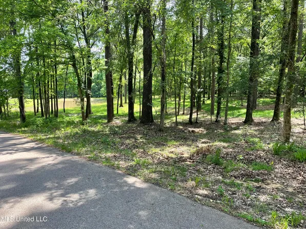 X Dover Ln Lot X, Madison, MS 39110