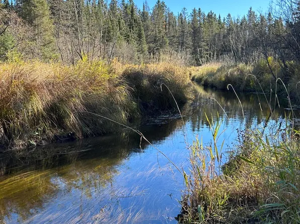 Saint Ignace Rd, Hessel, MI 49745