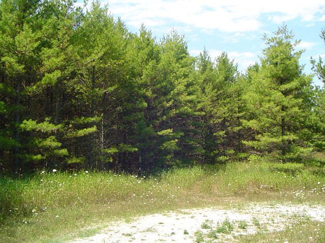 1st image of LOT 7 White Pine Ln
