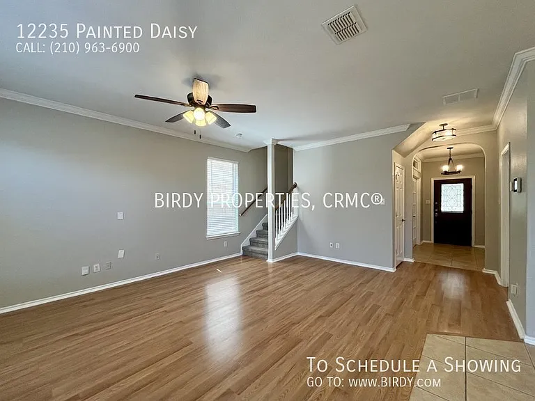 12235 Painted Daisy — Photo 13