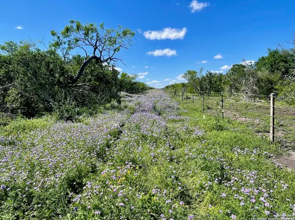 141.69+/- ACRES FM 743, Goliad, TX 77963