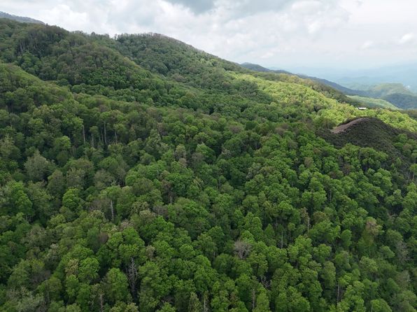 0 Black Rock Rd LOT 46, Cherokee, NC 28719