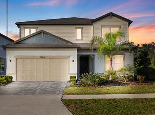 13853 Sharp Hawk Dr, Riverview, FL 33569