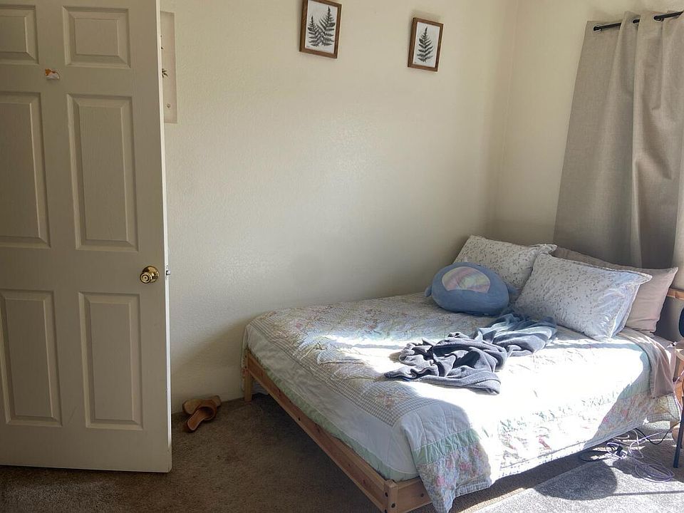Back bedrooms are large and bright.