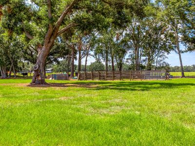 1723 SE Donaldson Rd, Lee, FL, 32059