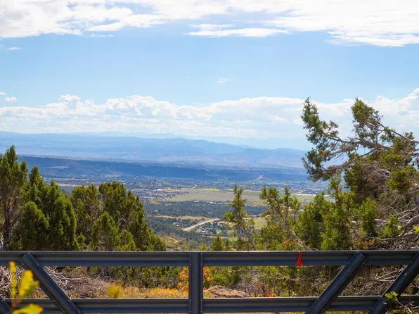 22424 Highway 65, Cedaredge, CO 81413