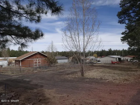 3882 Turkey Trl, Lakeside, AZ 85929