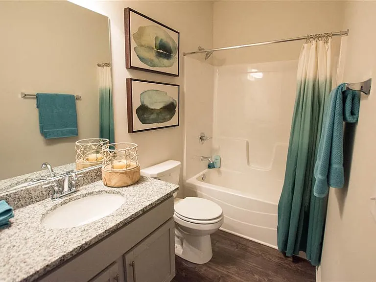 Secondary bathroom with tub shower and single vanity.