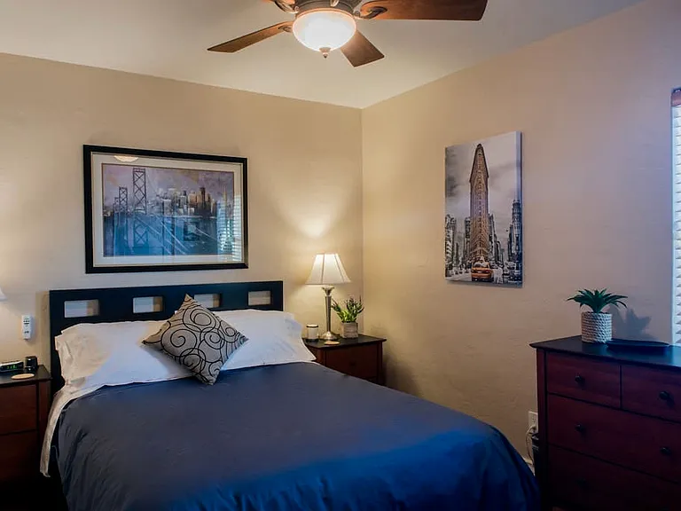 Queen size bed with end tables and long dresser