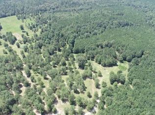 0 Johnny Miller Rd PARCEL 3, Buena Vista, GA 31803