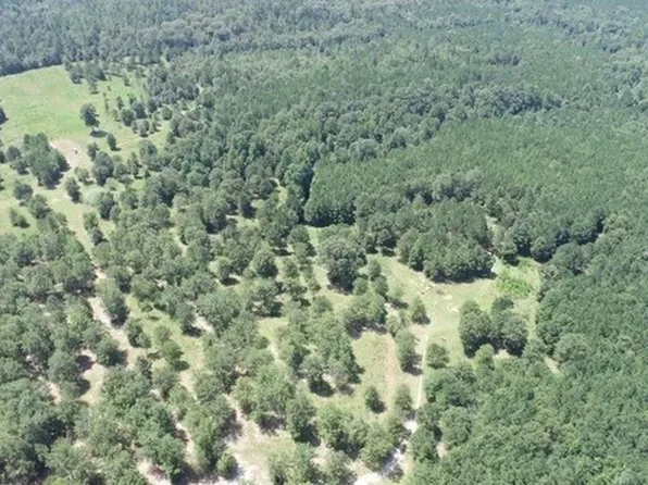 0 Johnny Miller Rd Parcel 3, Buena Vista, GA 31803